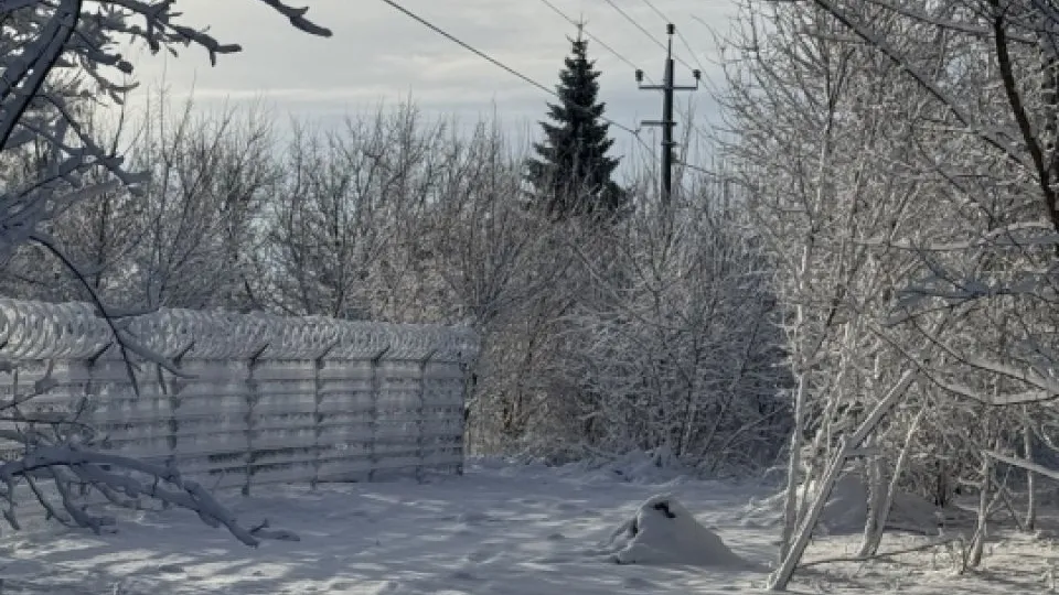 Фото: REGIONS/Дарина Левкина