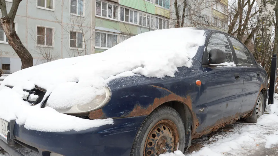 Фото: REGIONS/Нина Соколова