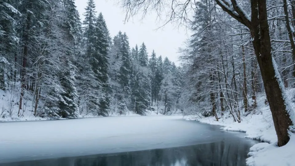 REGIONS/Сгенерировано нейросетью