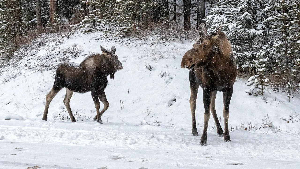 istockphoto.com/Richard Paksi