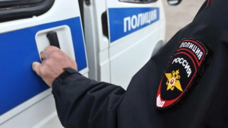 Девушку, подозреваемую в краже телефона, задержали в Подмосковье