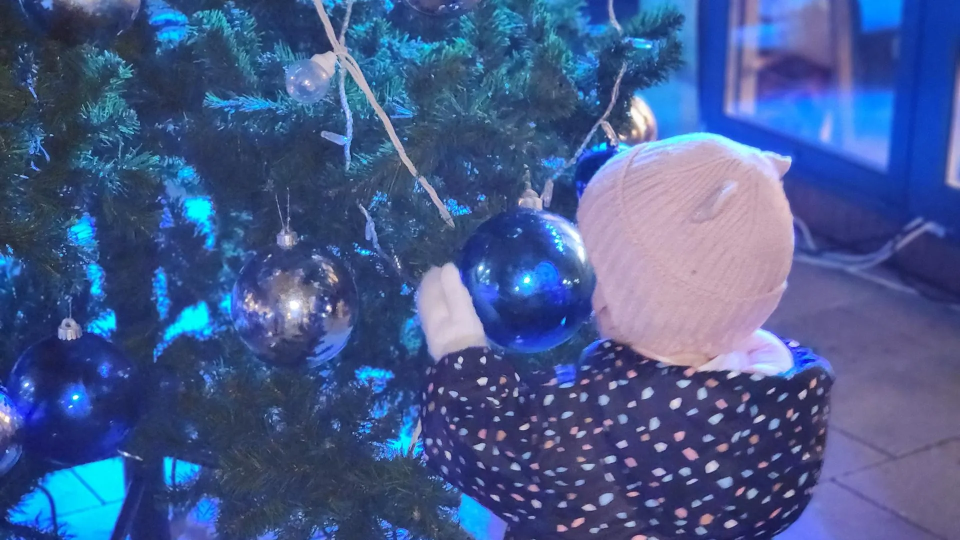 Фото: Елена Шумакова