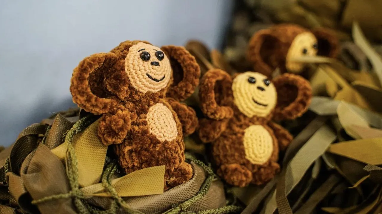 пресс-служба губернатора и правительства Московской области