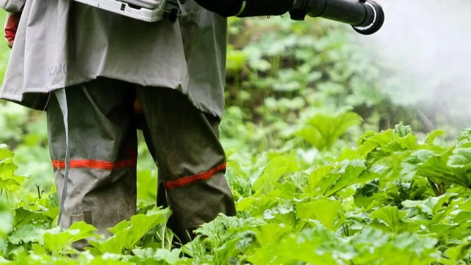 Фото: пресс-служба администрации г.о. Кашира