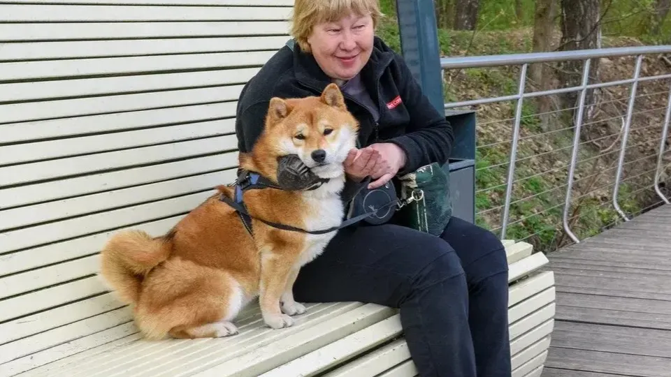 Фото: Министерство благоустройства Московской области