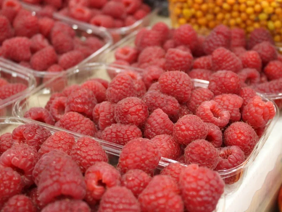 Фото: REGIONS/Анастасия Широкая