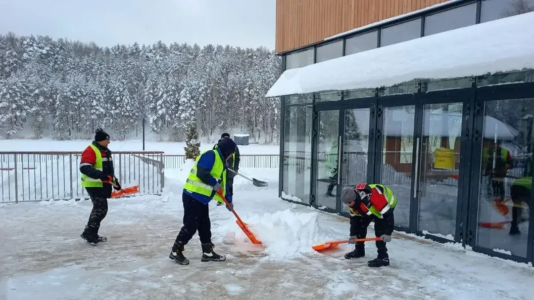 Министерство благоустройства Московской области