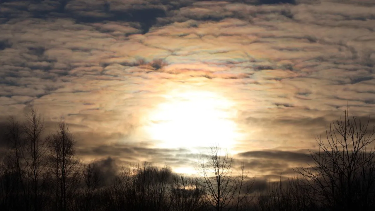 Фото: Марина Алифанова