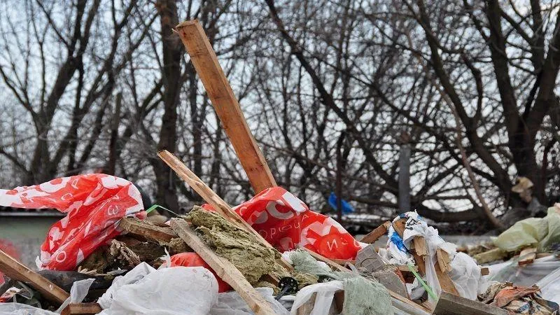 Одинцовские нарушители возместят 22-миллионный ущерб за незаконное размещение отходов