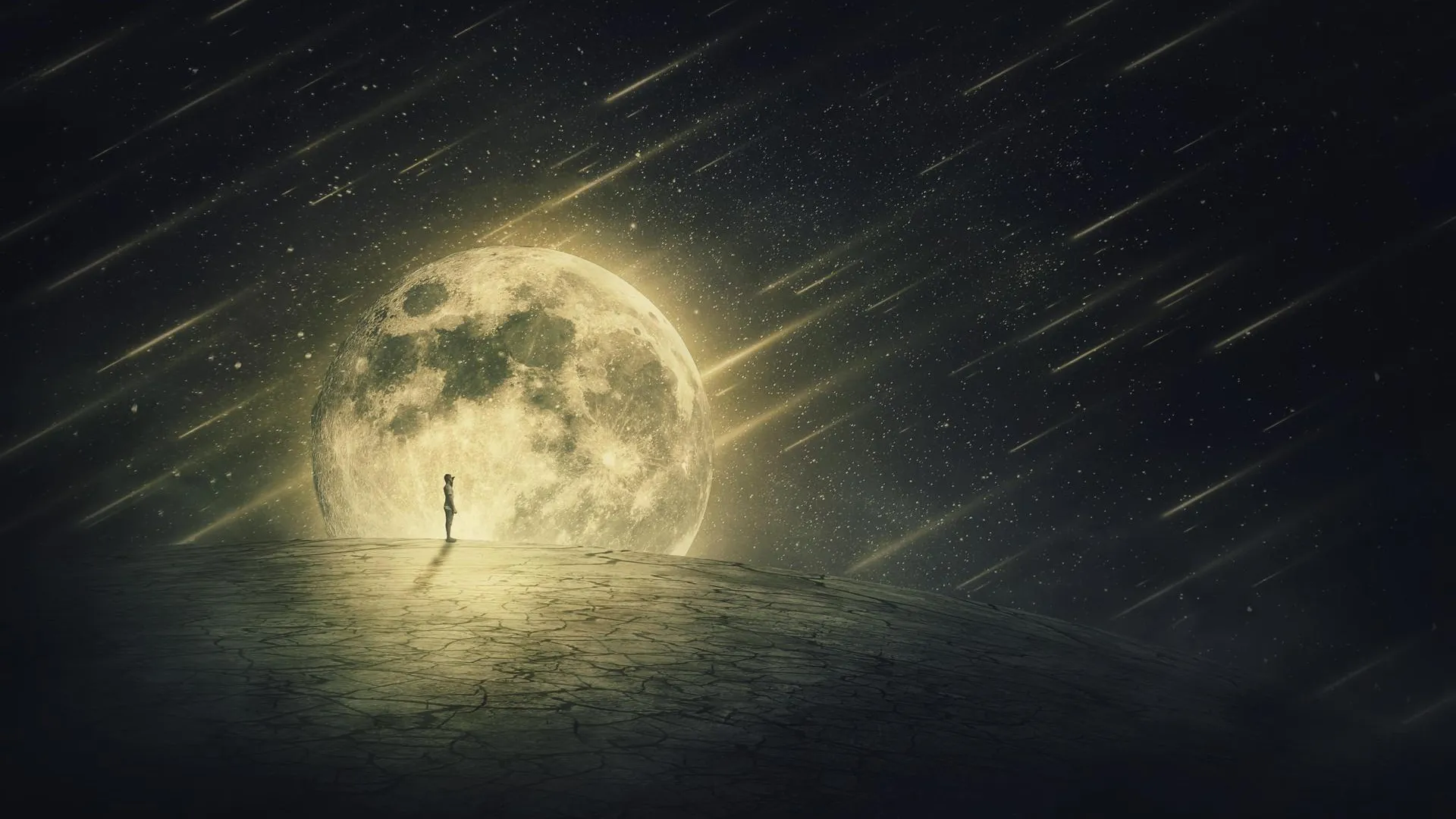 PsychoShadow/http://imagebroker.com/#/search