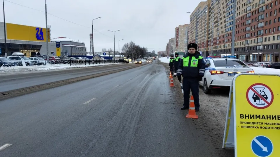 Фото: пресс-служба ГУ МВД России по Московской области