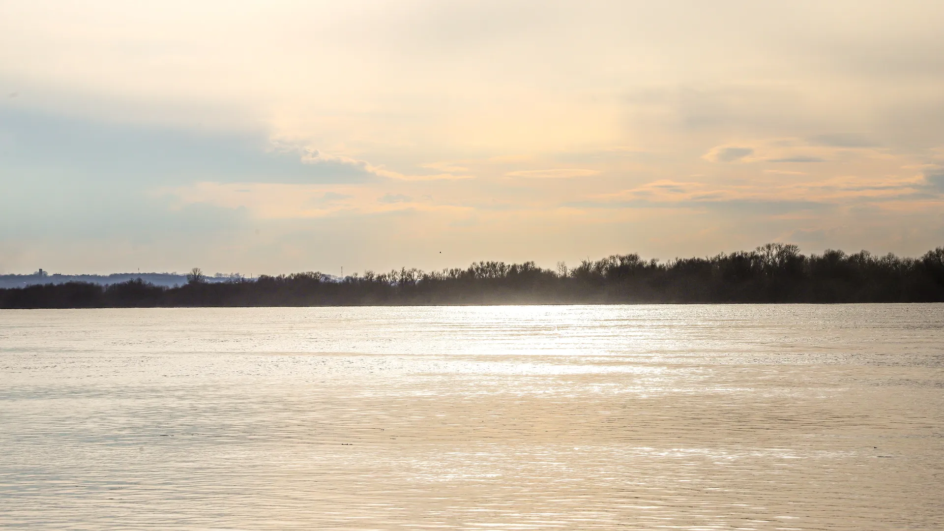 Фото: Анна Реппель