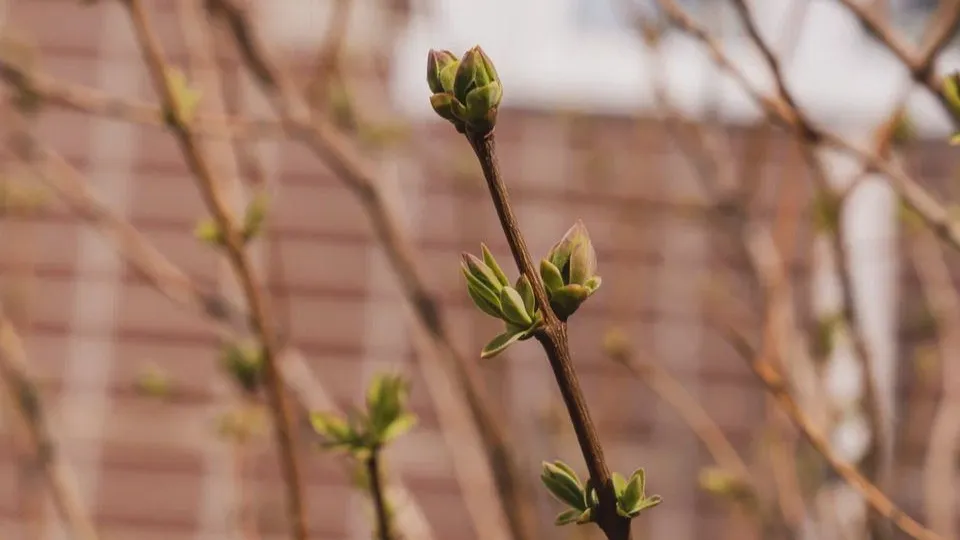 Фото: REGIONS/Наталия Надточая