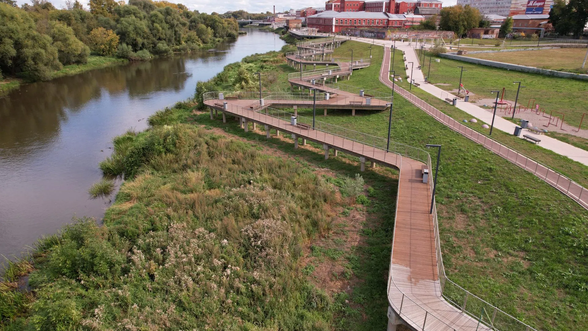 Дарья Московцева