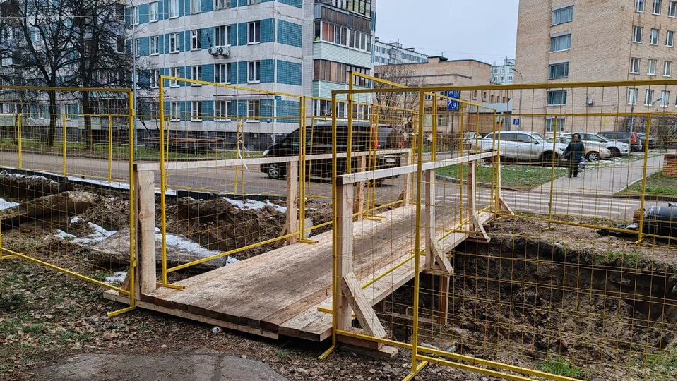 Фото: пресс-служба администрации г. о. Черноголовка