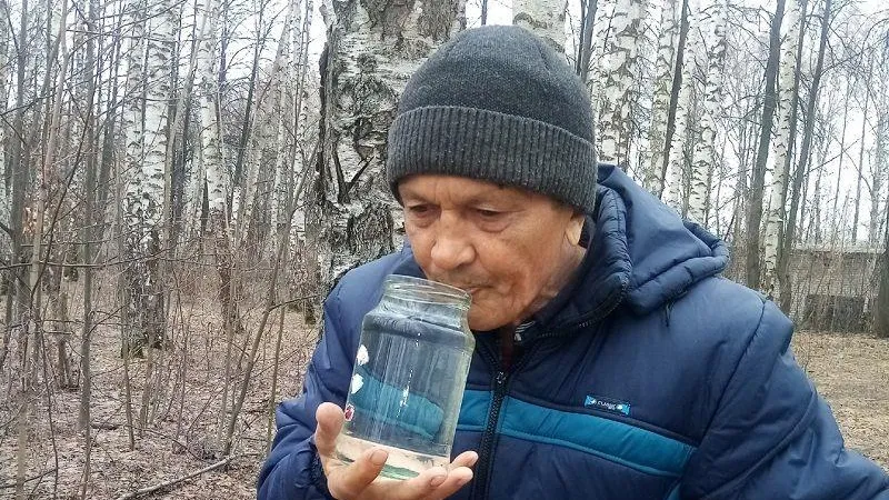 «Трехлитровая банка за сутки»: начался сезон сбора березового сока