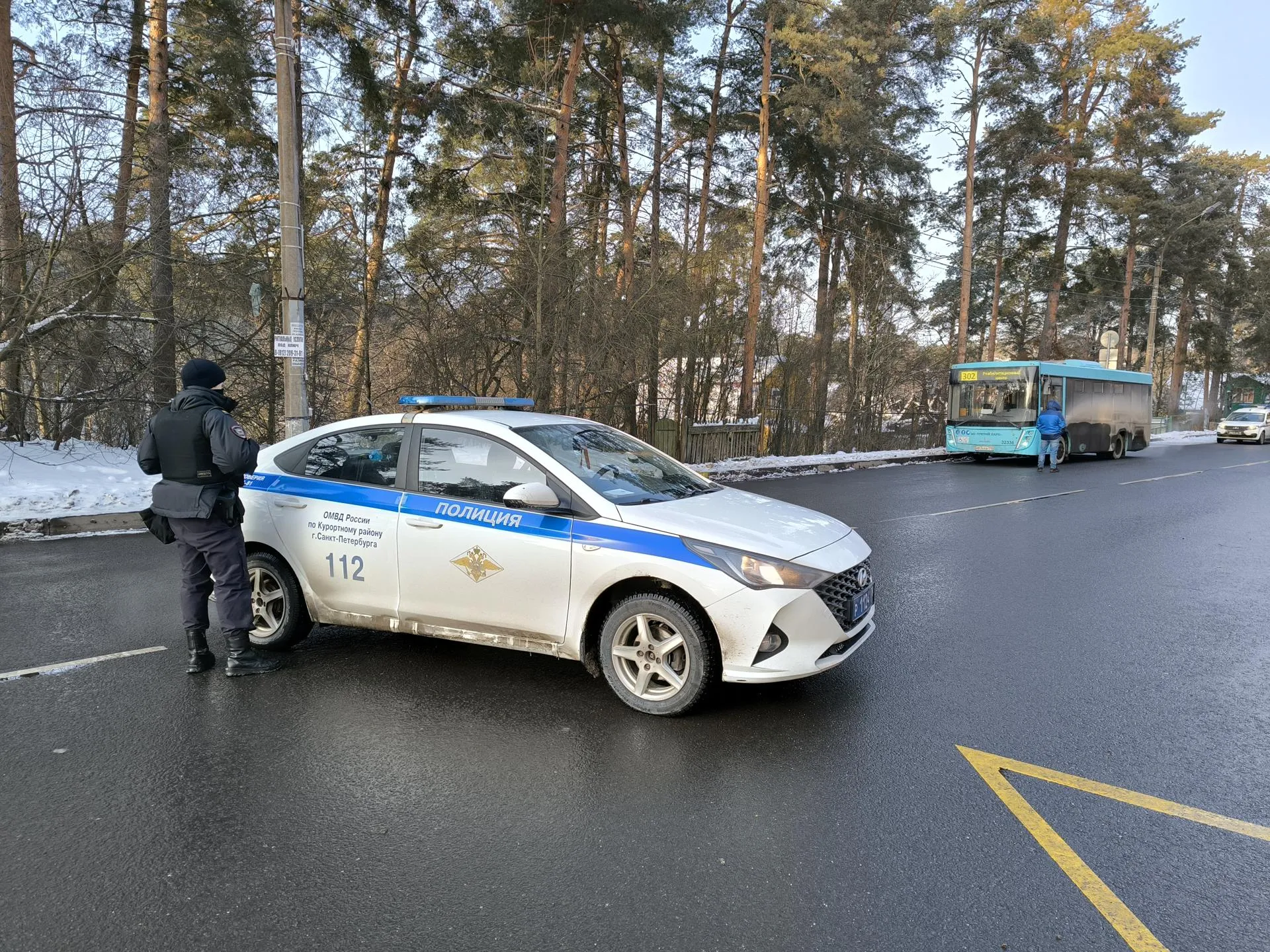 Чат-Сестрорецк