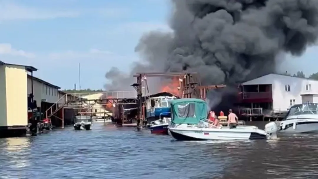 Фото: t.me/Дубна|Вести