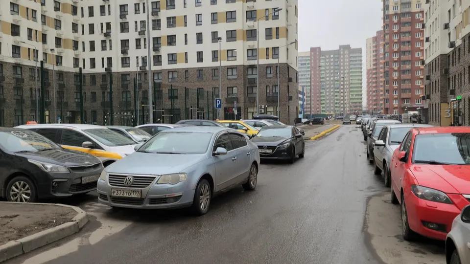 Фото: Наталья Лымарь