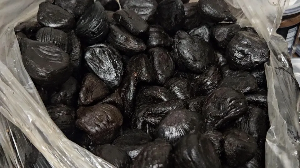 Фото: МедиаБанк Подмосковья/Ольга Вельшикаева