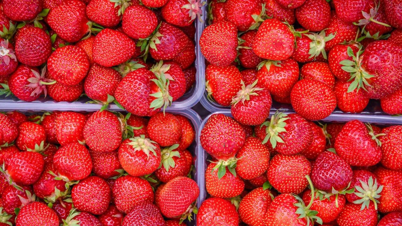 медиасток.рф