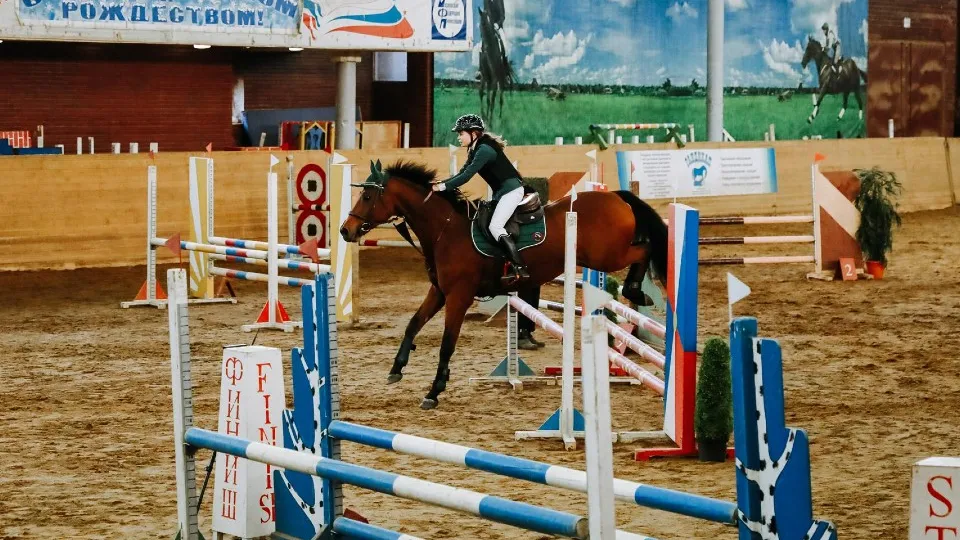 Фото: пресс-служба администрации г.о. Химки