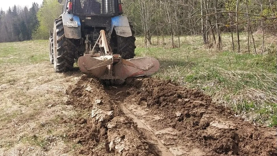 Фото: Комитет лесного хозяйства Московской области