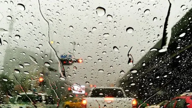 фото:ru.freepik.com