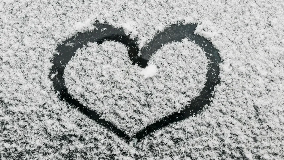 Фото: freepik.com