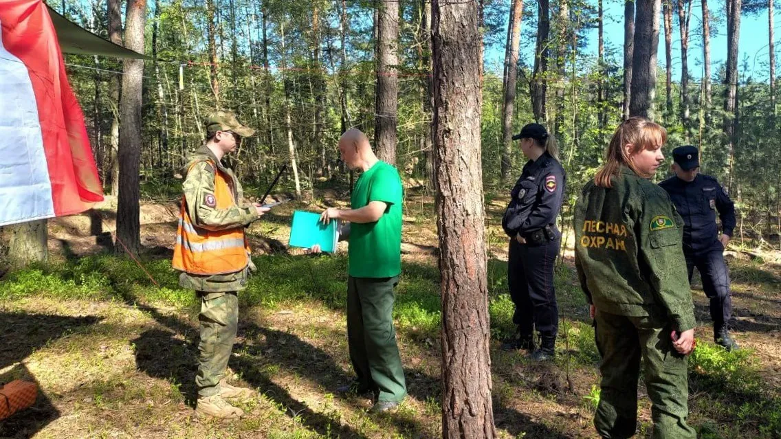 Фото: Комитет лесного хозяйства Московской области
