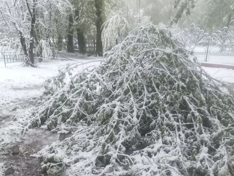 Фото: администрация г.о. Краснознаменск