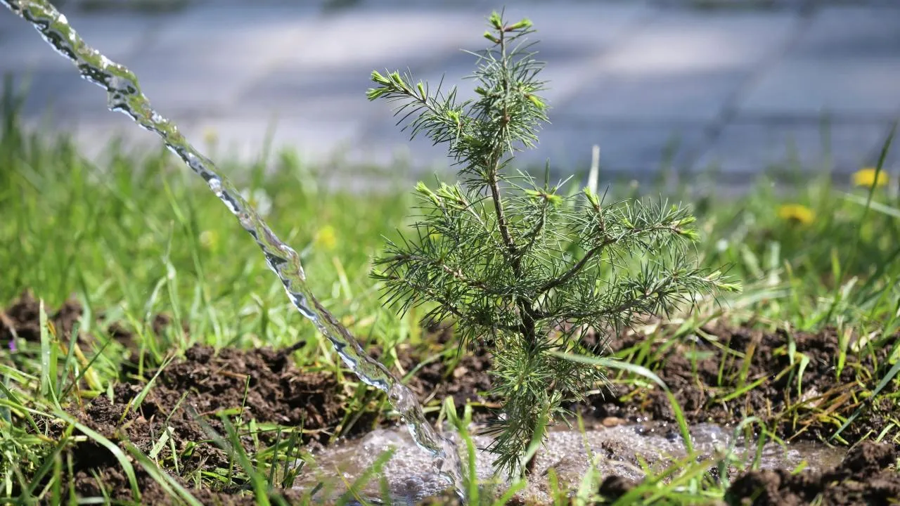 РИА Новости/Константин Михальчевский