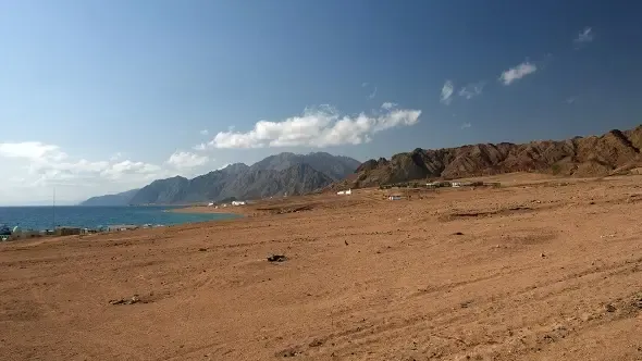 Фото: Андрей Некрасов / Global Look Press