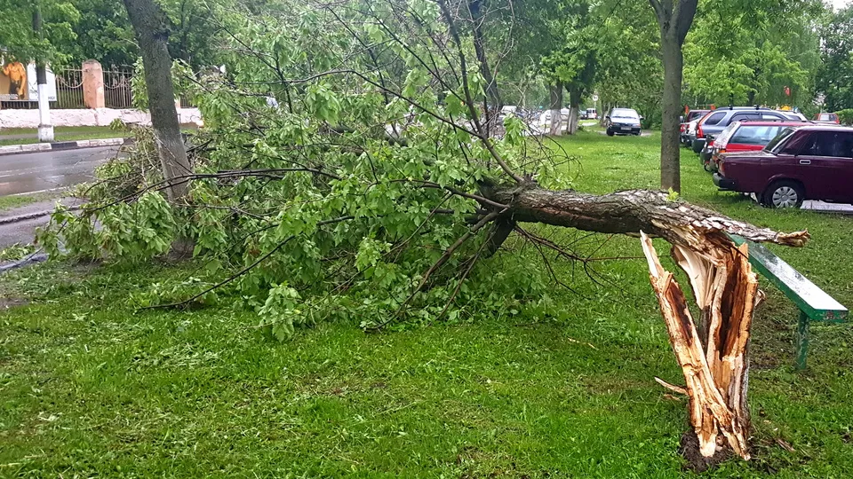 Фото: REGIONS/Александр Дрожжин