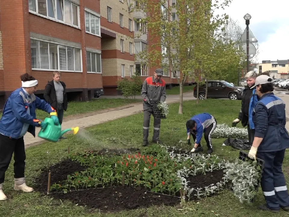 Фото: пресс-служба администрации г.о. Дубна