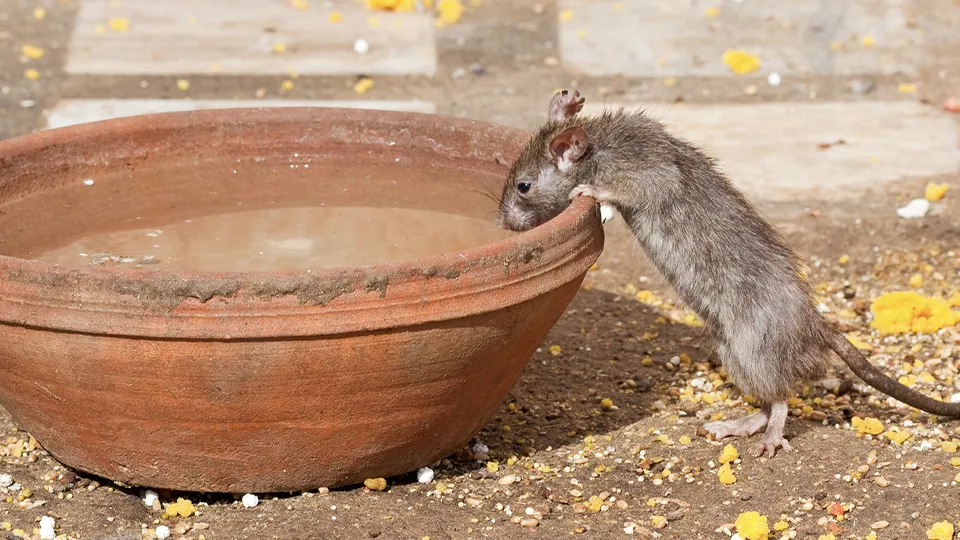 Фото: istockphoto.com