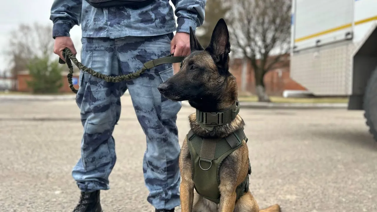 Андрюхина Мария