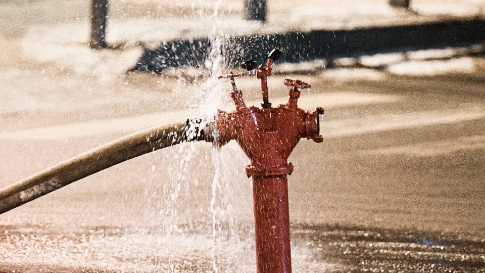 Фото: ТАСС/Николай Михальченко