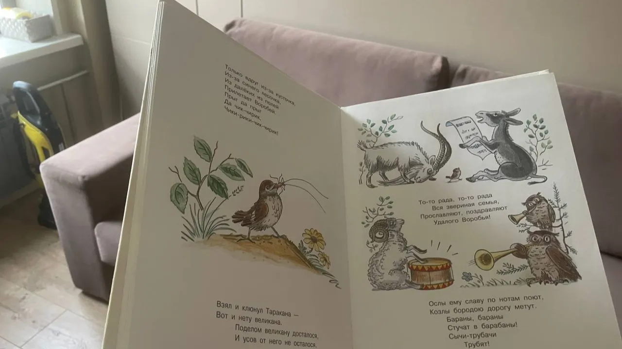 REGIONS/Юлия Арбузова