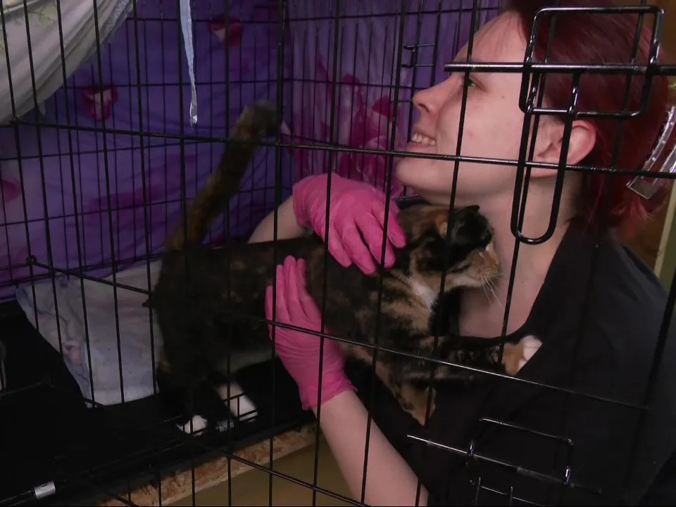 Фото: администрация г.о. Дубна