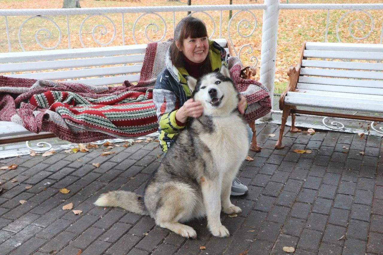 Источник: пресс-служба администрации городского округа Павловский Посад