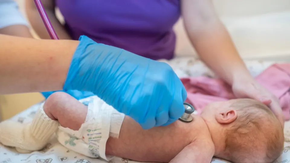 Фото: пресс-служба Коломенского ПЦ