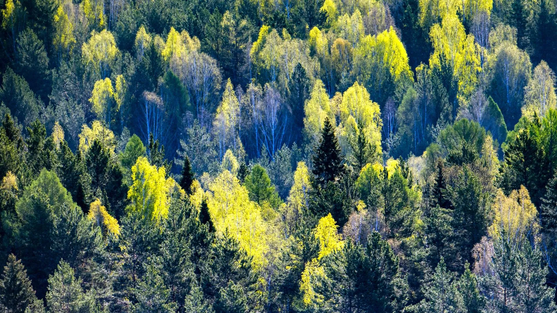 Serguei Fomine/Global Look Press