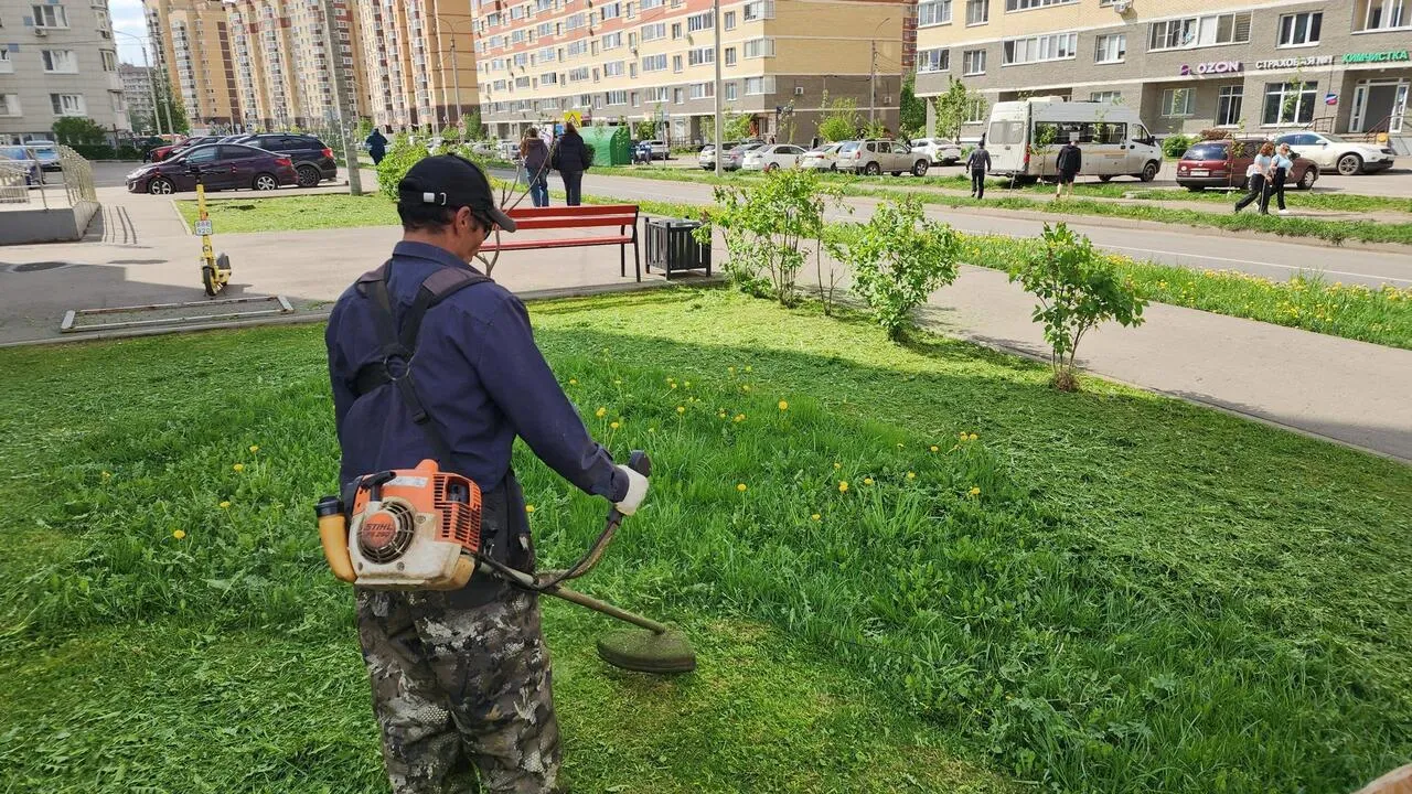Картинка