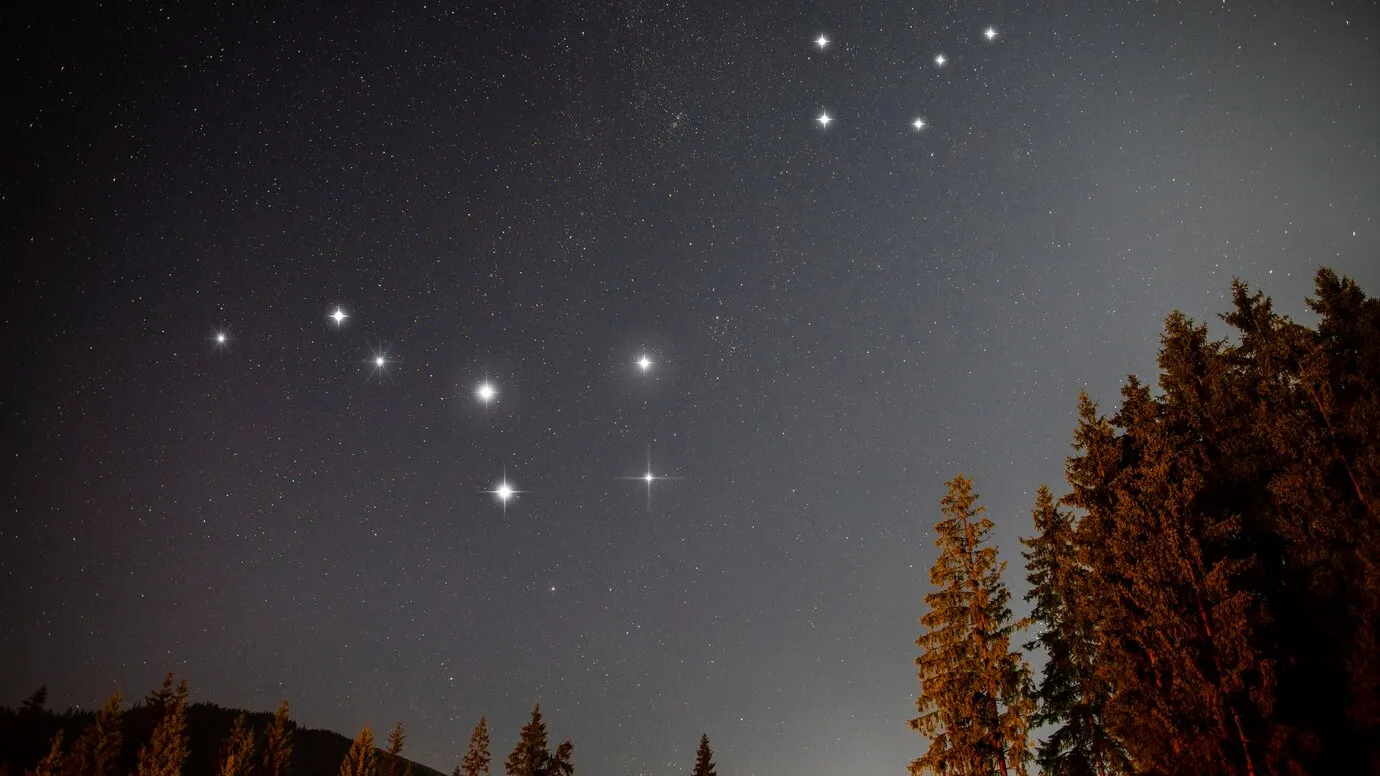 Фото: freepik.com