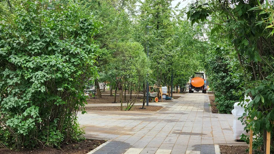 Фото: Роман Савельев