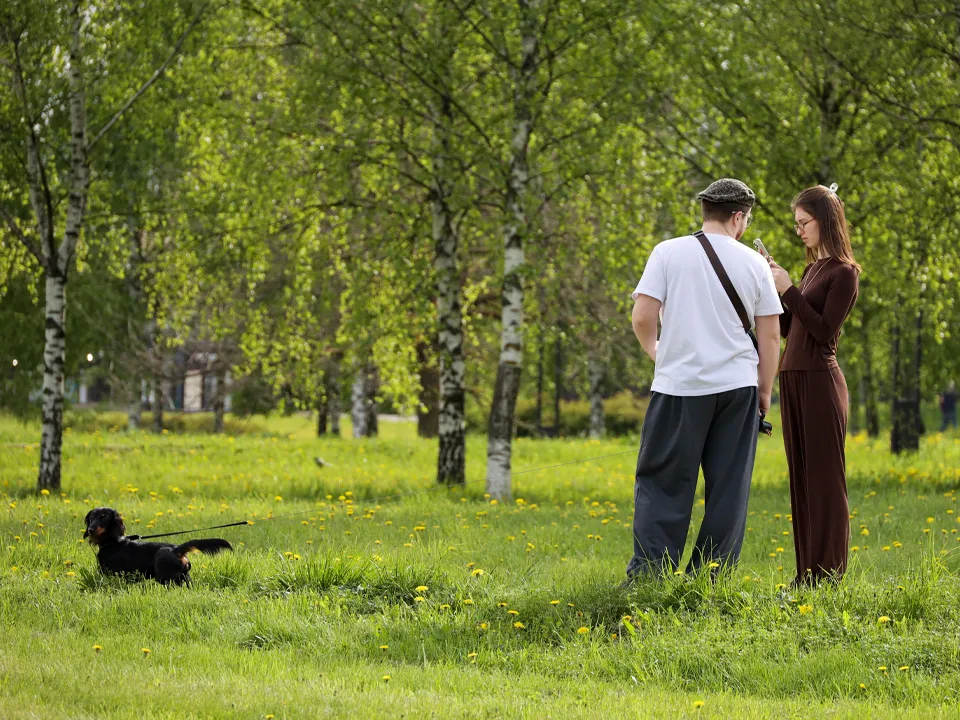 Фото: ТАСС/Олег Елков