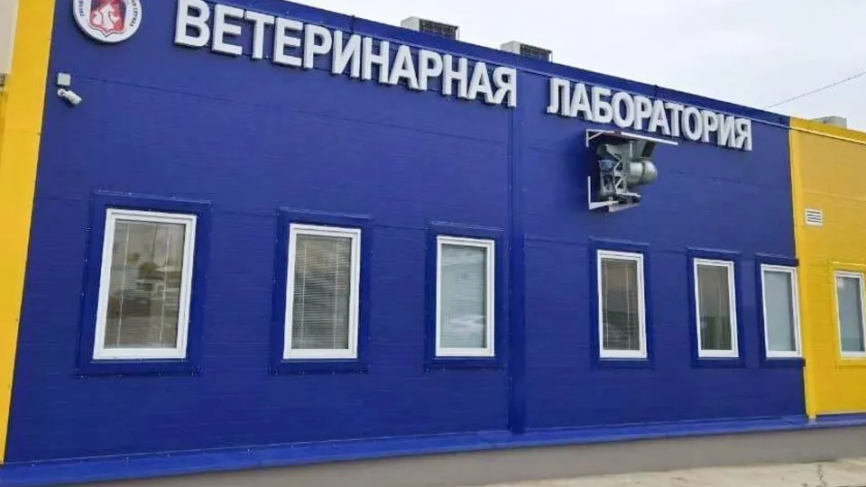 Фото: «Сырная Долина»