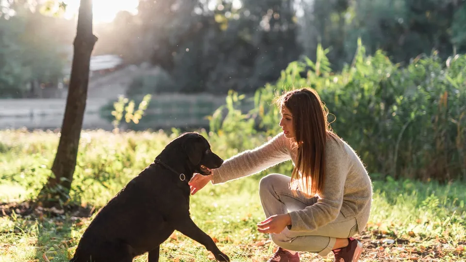 Фото: freepik.com