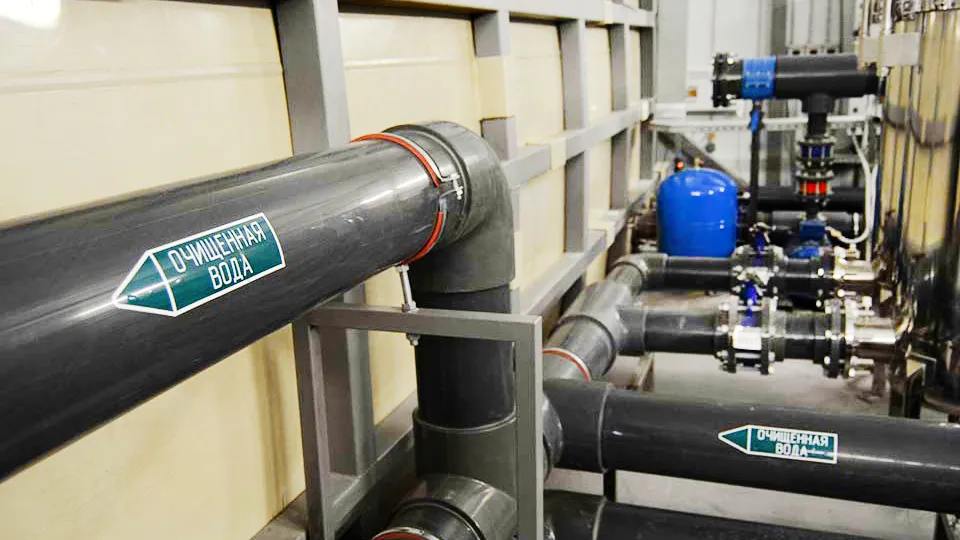 Фото: МедиаБанк Подмосковья/Оксана Лапшина